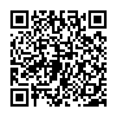 QR code for N197194
