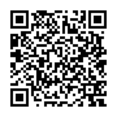 QR code for N204335
