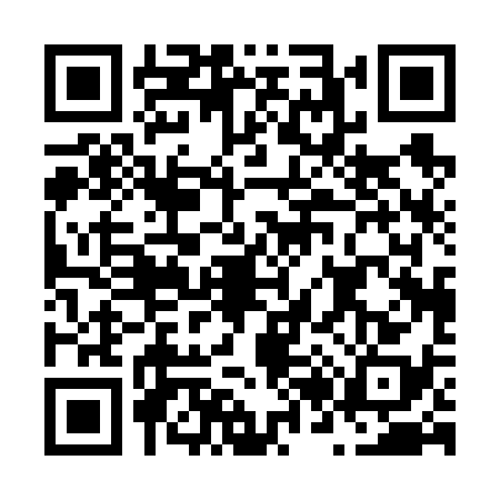 QR code for N206383