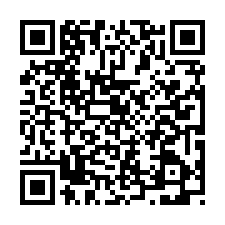 QR code for N208673