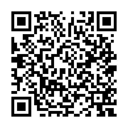 QR code for N217527