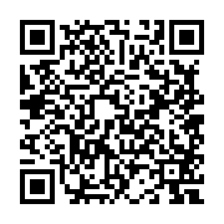 QR code for N228833