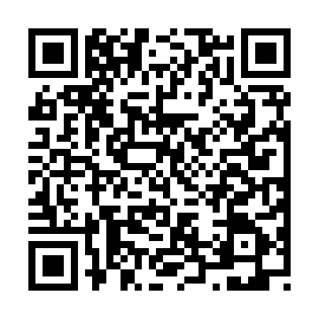 QR code for N228856