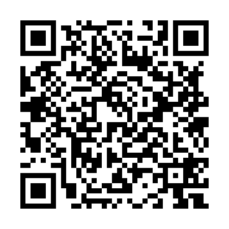 QR code for N238289