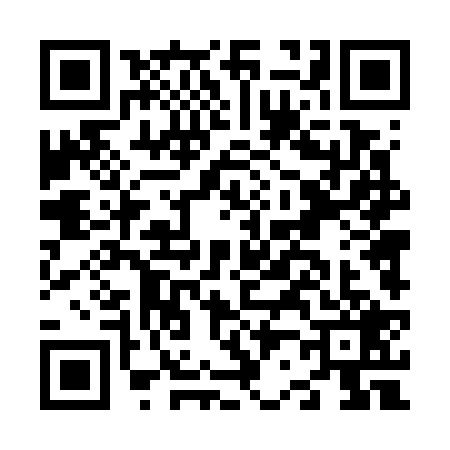 QR code for N247297