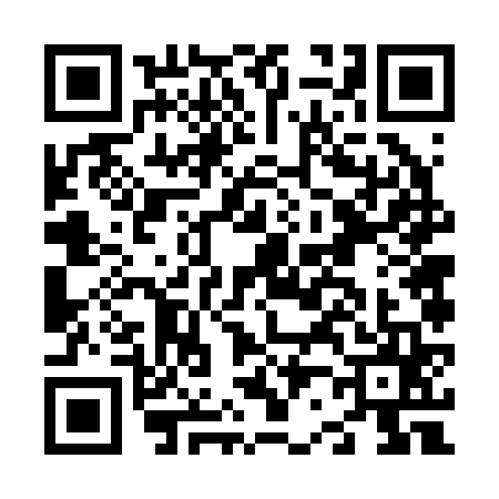 QR code for N262656