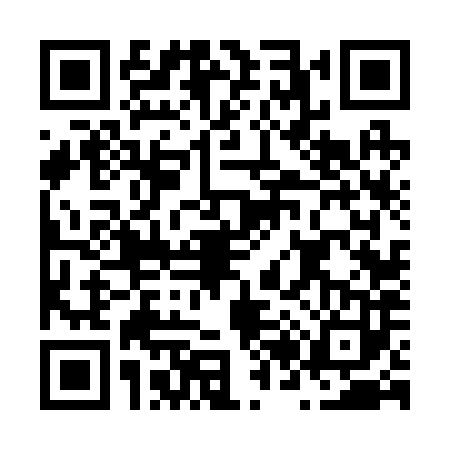 QR code for N262838