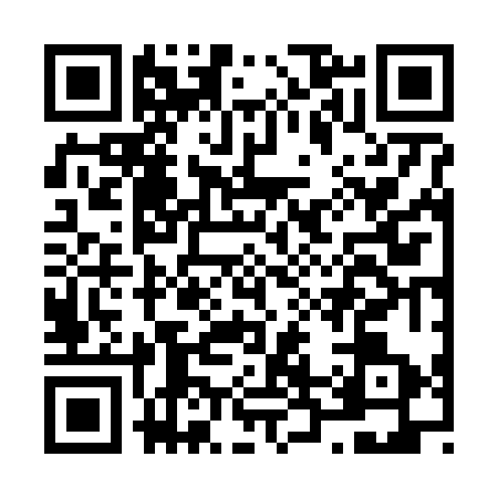 QR code for N266739