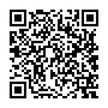 QR code for N268205