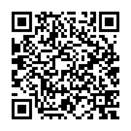 QR code for N273392