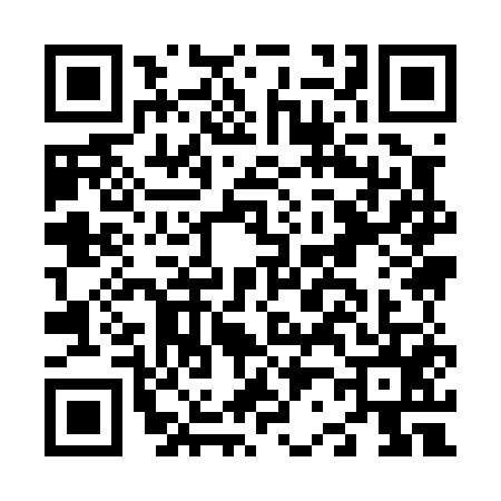 QR code for N290554