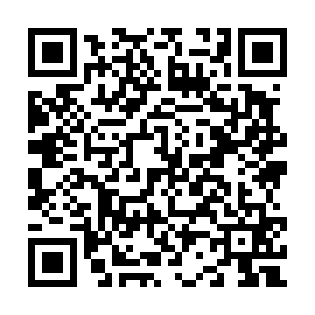QR code for N294617