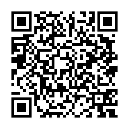 QR code for N294703