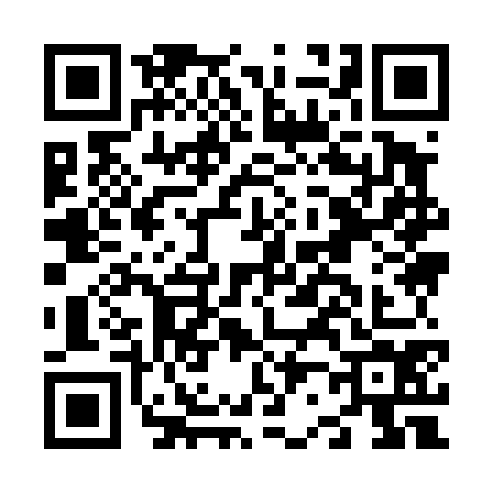 QR code for N294747