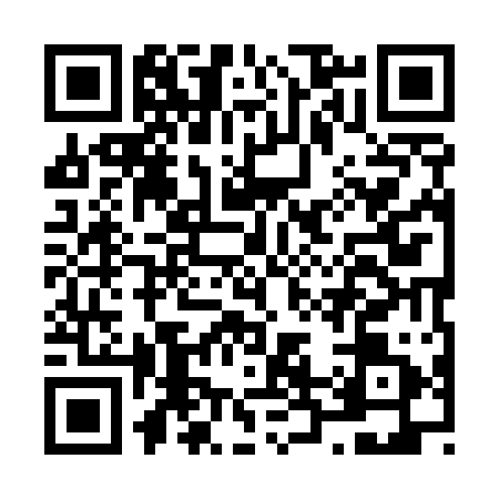 QR code for N295118