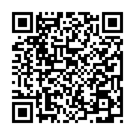 QR code for N295548