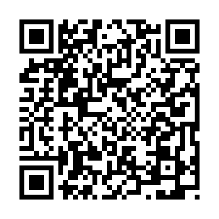 QR code for N295694