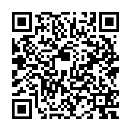QR code for N296216