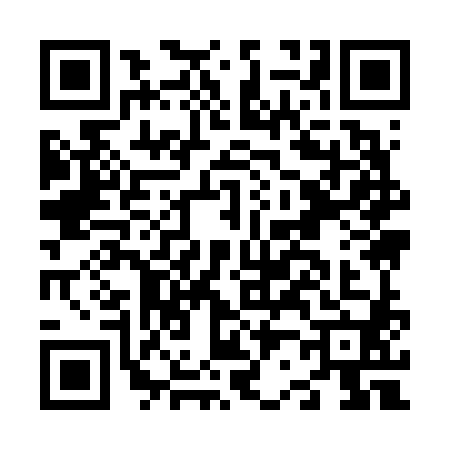 QR code for N296809