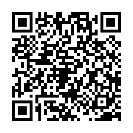 QR code for N300613