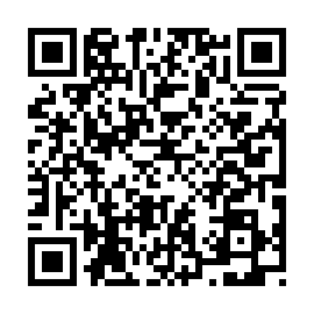 QR code for N301380