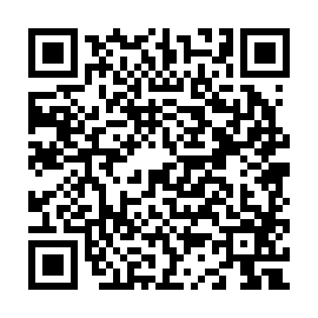 QR code for N302867