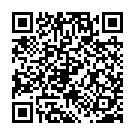 QR code for N312891