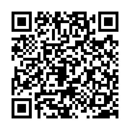 QR code for N317695