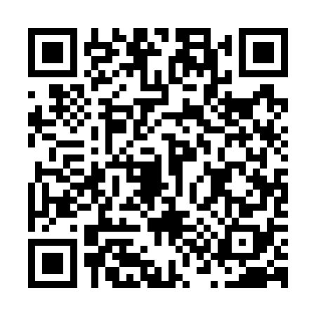 QR code for N317785