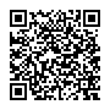 QR code for N327699