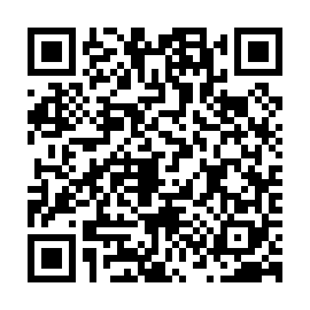 QR code for N330687