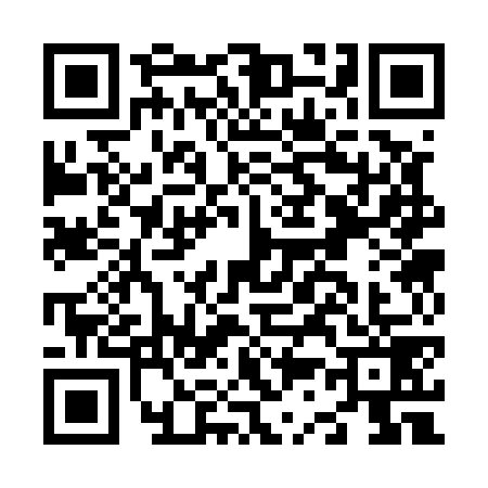 QR code for N335796
