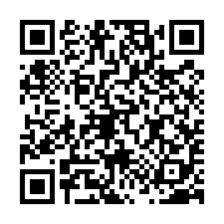 QR code for N335981