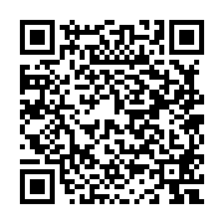 QR code for N338882