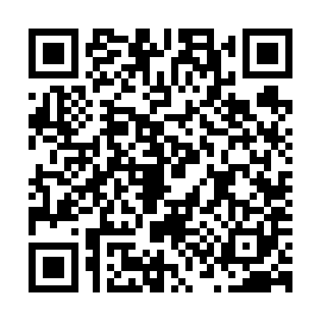 QR code for N366810