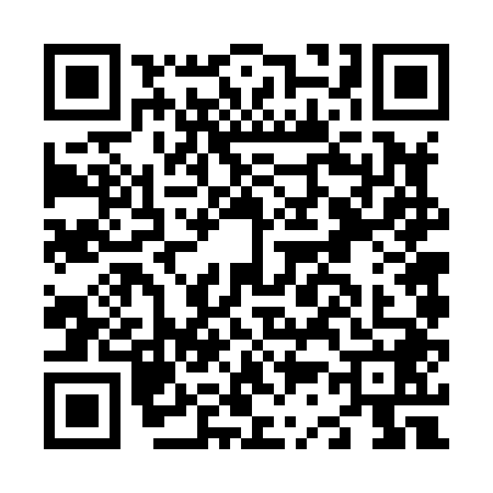 QR code for N368487