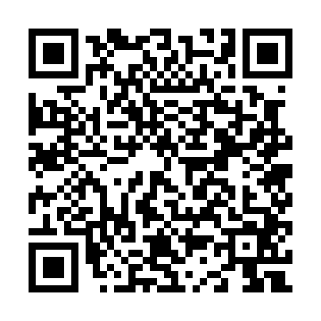 QR code for N370441