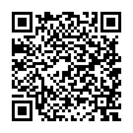 QR code for N378839