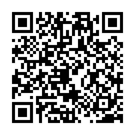 QR code for N381301