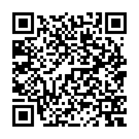 QR code for N382761