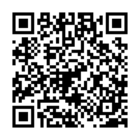 QR code for N382872