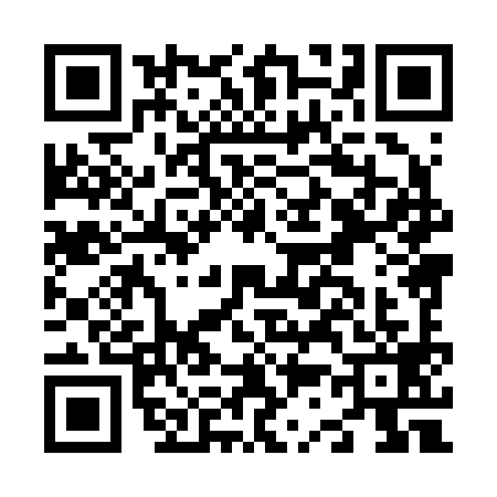 QR code for N382990