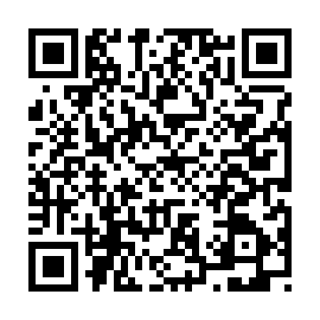 QR code for N383878