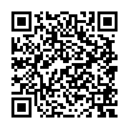 QR code for N384488