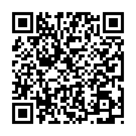 QR code for N385348