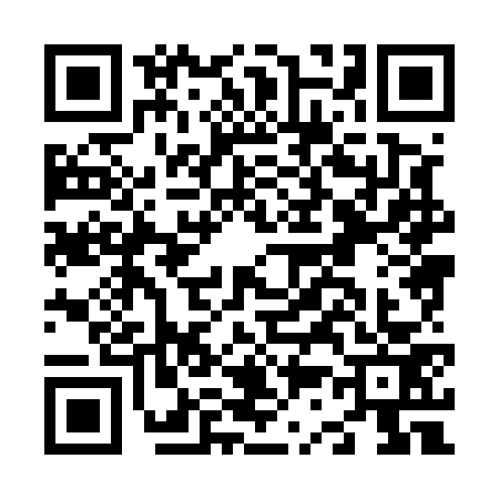 QR code for N385735