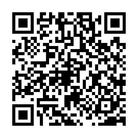 QR code for N387204