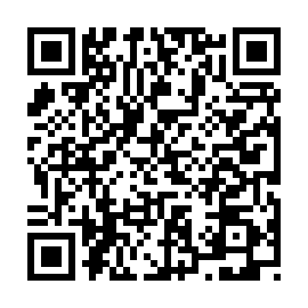 QR code for N388508