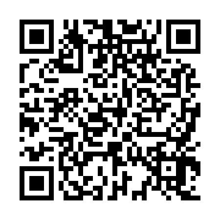 QR code for N389479