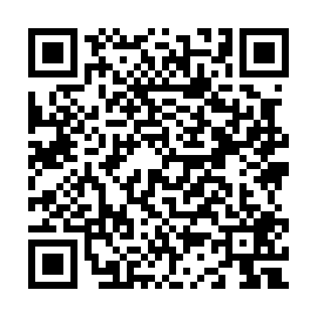 QR code for N390094